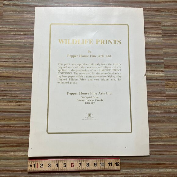 Polar Bear & Cubs Art Print J Sharkey Thomas Vintage 70s Wildlife Pepper House - Picture 6 of 7